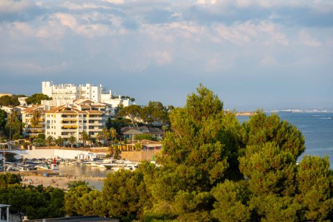 Villa in vendita Palmanova, Mallorca, Spagna 4 camere da letto, 317 mq. N° 137514 - foto 23