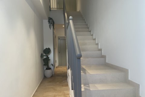 Huoneisto vuokrattavana Port De Pollenca, Mallorca, Espanja, 3 makuuhuonetta, 100 m2 No. 137513 - kuva 18