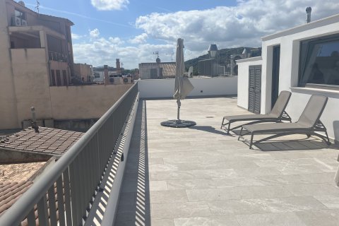 Huoneisto vuokrattavana Port De Pollenca, Mallorca, Espanja, 3 makuuhuonetta, 100 m2 No. 137513 - kuva 15