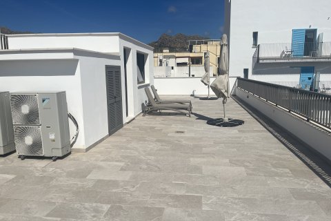 Huoneisto vuokrattavana Port De Pollenca, Mallorca, Espanja, 3 makuuhuonetta, 100 m2 No. 137513 - kuva 16