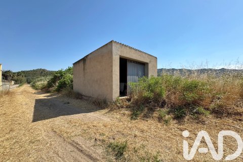 Продажа земельного участка в Риба-Рожа-де-Эбро, Таррагона, Испания 7378м2 №188304 - фото 2