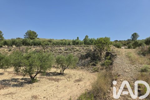 Parcela en venta en Cehegín, Murcia, España 10087 m2 No. 188307 - foto 7