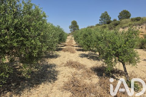 Parcela en venta en Cehegín, Murcia, España 10087 m2 No. 188307 - foto 8