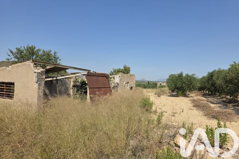 Parcela en venta en Cehegín, Murcia, España 10087 m2 No. 188307 - foto 5
