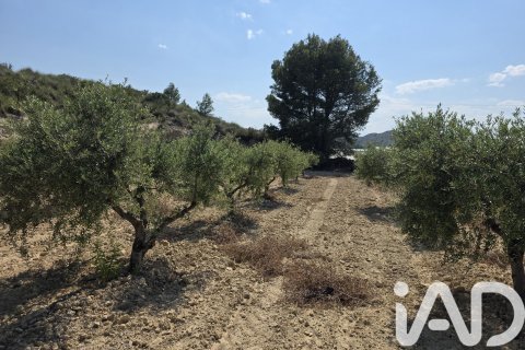 Parcela en venta en Cehegín, Murcia, España 10087 m2 No. 188307 - foto 9
