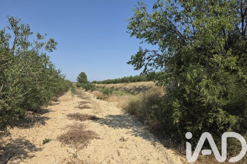 Parcela en venta en Cehegín, Murcia, España 10087 m2 No. 188307 - foto 4