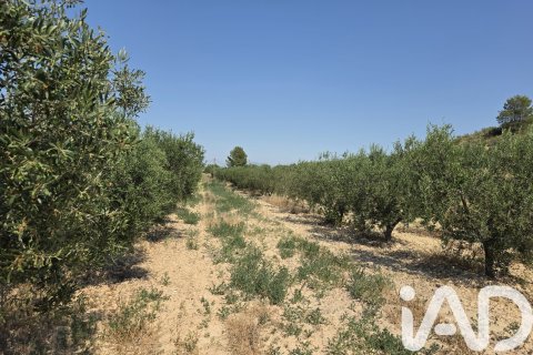 Parcela en venta en Cehegín, Murcia, España 10087 m2 No. 188307 - foto 3