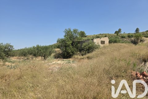 Parcela en venta en Cehegín, Murcia, España 10087 m2 No. 188307 - foto 11