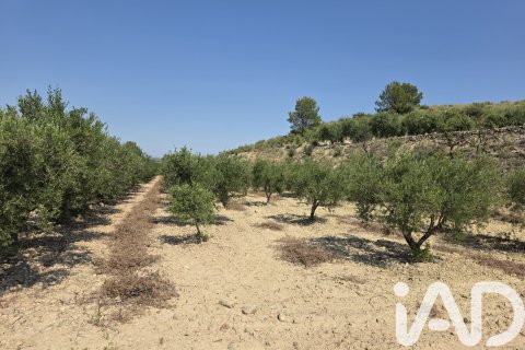 Parcela en venta en Cehegín, Murcia, España 10087 m2 No. 188307 - foto 6