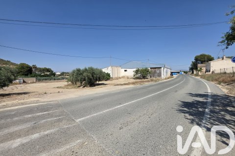 Parcela en venta en Cehegín, Murcia, España 3244 m2 No. 188310 - foto 15