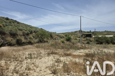 Parcela en venta en Cehegín, Murcia, España 3244 m2 No. 188310 - foto 3