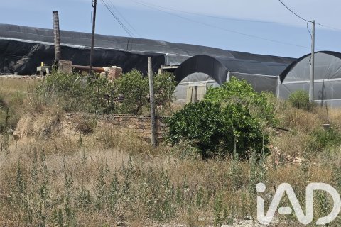 Parcela en venta en Cehegín, Murcia, España 3244 m2 No. 188310 - foto 5