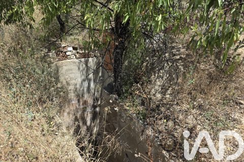 Parcela en venta en Cehegín, Murcia, España 3244 m2 No. 188310 - foto 8