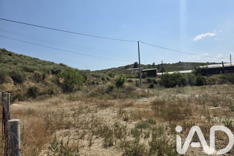 Parcela en venta en Cehegín, Murcia, España 3244 m2 No. 188310 - foto 14