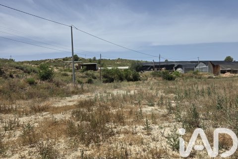 Parcela en venta en Cehegín, Murcia, España 3244 m2 No. 188310 - foto 2
