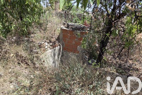 Parcela en venta en Cehegín, Murcia, España 3244 m2 No. 188310 - foto 7
