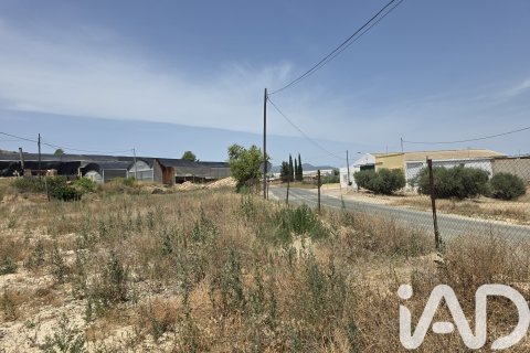Parcela en Cehegín, Murcia, España 3244 m2 No. 188310