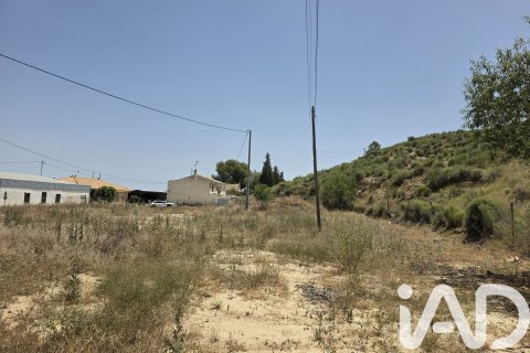 Parcela en venta en Cehegín, Murcia, España 3244 m2 No. 188310 - foto 11