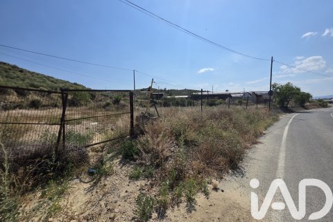 Parcela en venta en Cehegín, Murcia, España 3244 m2 No. 188310 - foto 12
