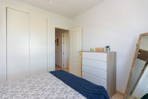 Apartament w Dehesa De Campoamor, Alicante, Hiszpania 65 mkw. nr 167761 – zdjęcie 17