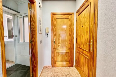 Apartament w Torrevieja, Alicante, Hiszpania 2 sypialnie, 67 mkw. nr 167766 – zdjęcie 25