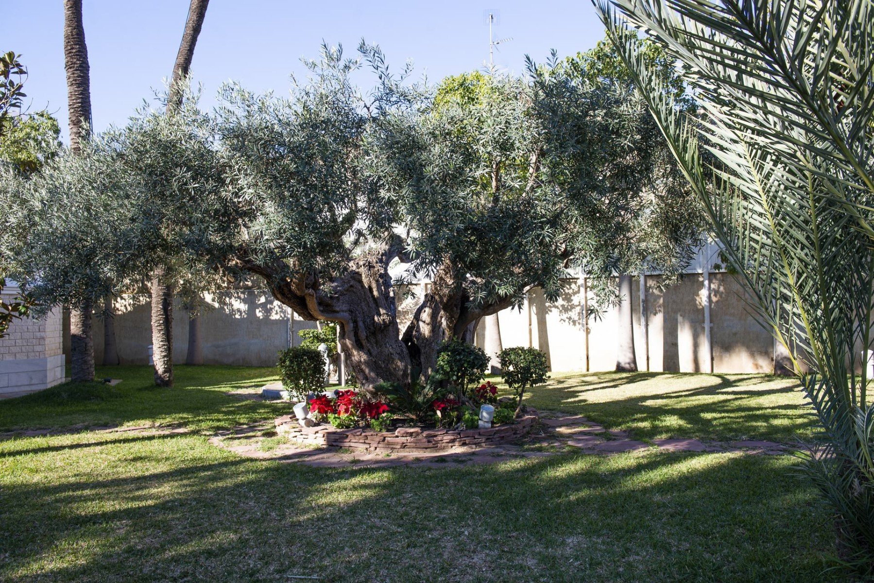 Villa a San Pedro del Pinatar, Murcia, Spagna 5 camere da letto, 780 mq. N° 99784