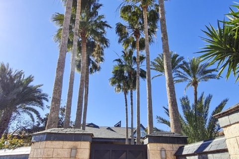 Villa for sale San Pedro del Pinatar, Murcia, Spain 5 bedrooms, 780 sq.m. No. 99784 - photo 30