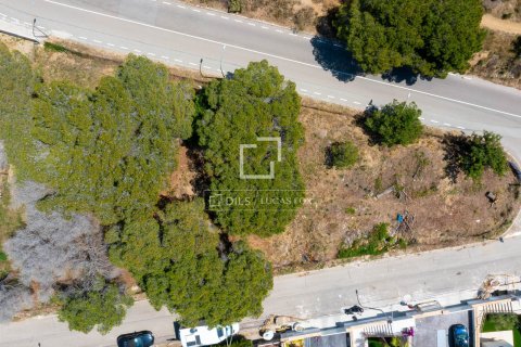 Villa for sale in Vilassar de Dalt, Barcelona, Spain 4 bedrooms, 336 sq.m. No. 150448 - photo 14