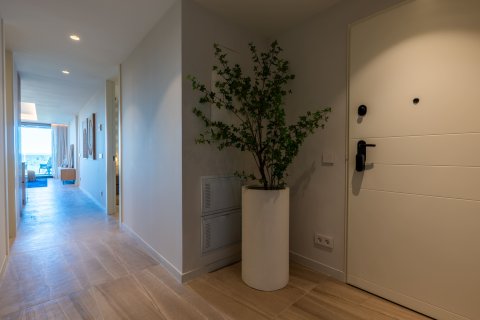 Huoneisto myytävänä Guardamar del Segura, Alicante, Espanja, 3 makuuhuonetta, 154 m2 No. 163751 - kuva 22