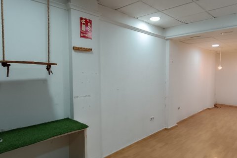 Lokal usługowy w Elche, Alicante, Hiszpania 113 mkw. nr 173416 – zdjęcie 2