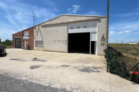Land zur Miete in Pobladura De Pelayo Garcia, Leon, Spanien 562 m2 Nr. 187564 - Foto 2