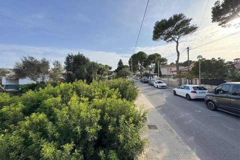 Tomt i El Toro, Mallorca, Spanien Nr. 179673