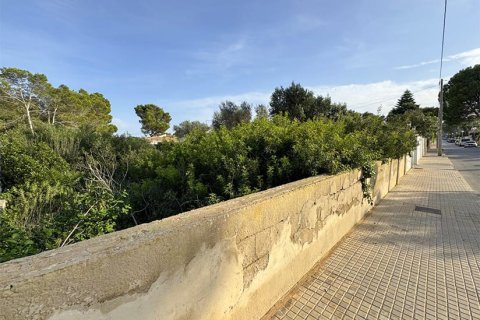 Parcela en venta en El Toro, Mallorca, España No. 179673 - foto 2