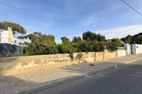 Parcela en venta en El Toro, Mallorca, España No. 179673 - foto 6