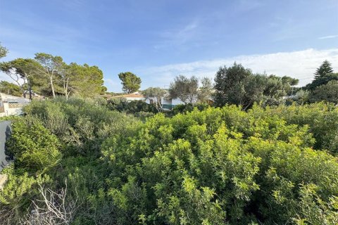 Parcela en venta en El Toro, Mallorca, España No. 179673 - foto 3