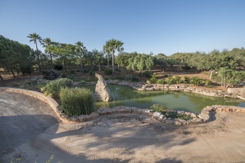 Finca īrēšanai Campos, Mallorca, Spānijā 6 istabas, 821 m2 Nr. 196219 - attēls 2