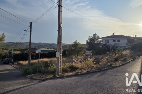 Land plot à vendre à La Bisbal Del Penedes, Tarragona, Espagne, 546 m2 No. 195739 - photo 4