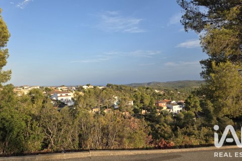 Land plot à vendre à La Bisbal Del Penedes, Tarragona, Espagne, 544 m2 No. 195738 - photo 4