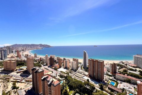 Apartament Benidorm, Alicante, Hiszpania 3 sypialnie,  nr 133300 – zdjęcie 20