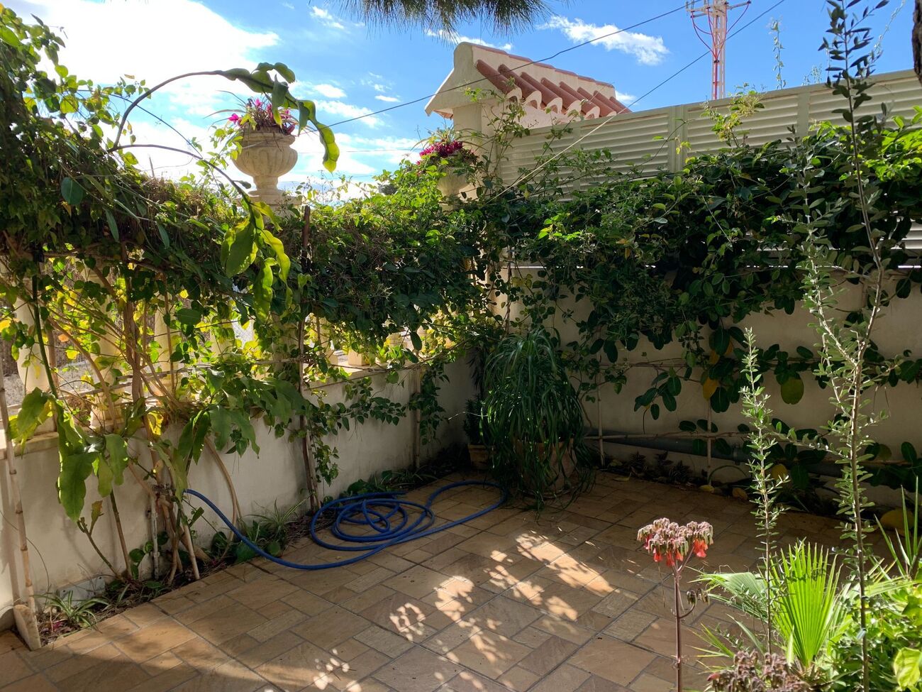 Dvīņu māja La Zenia, Alicante, Spānijā 4 istabas, 110 m2 Nr. 133299
