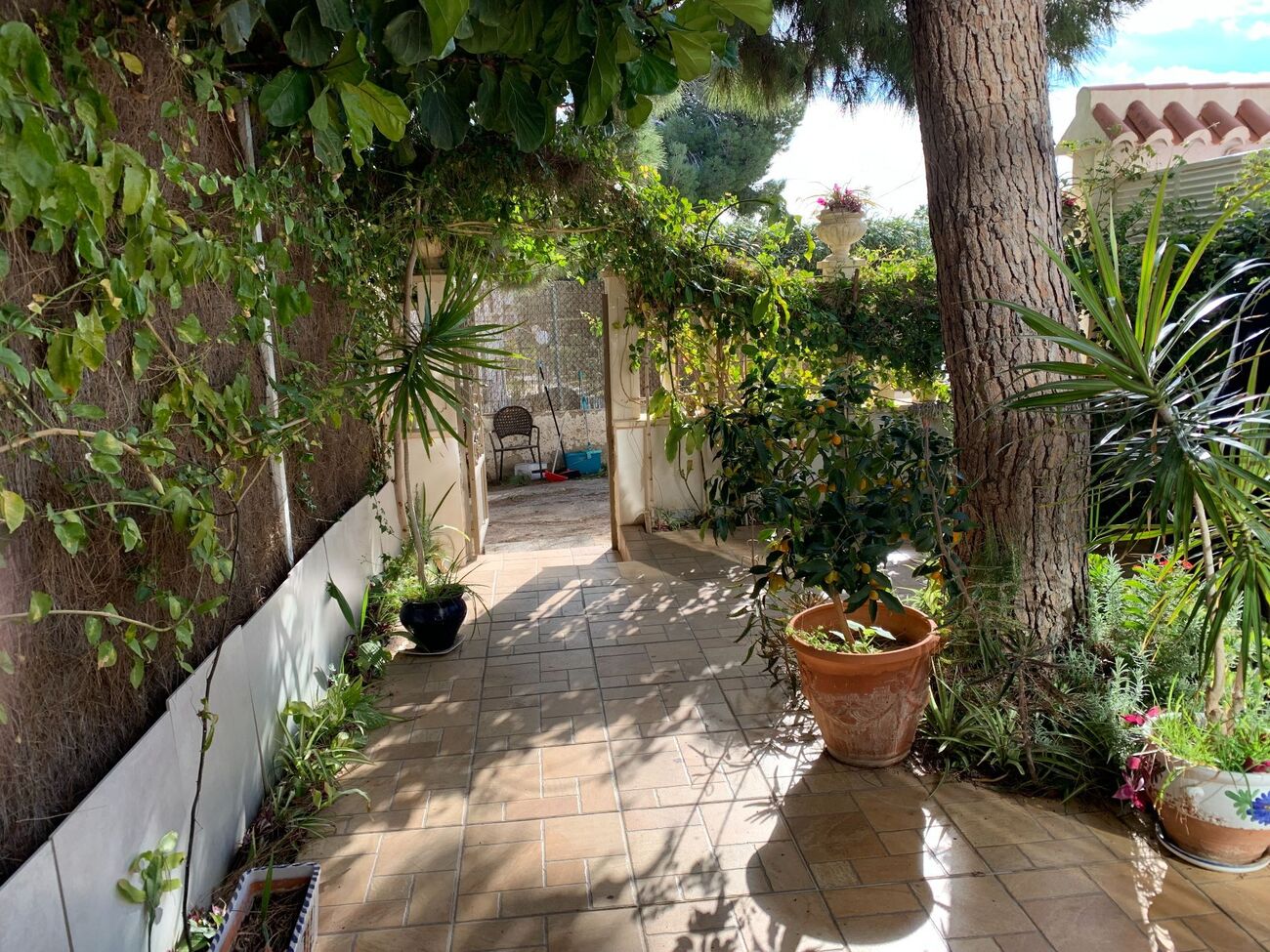 Dvīņu māja La Zenia, Alicante, Spānijā 4 istabas, 110 m2 Nr. 133299
