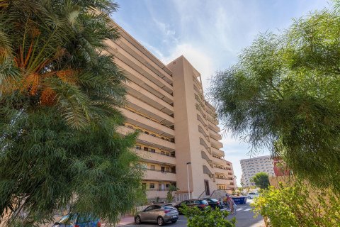Apartament La Mata, Alicante, Hiszpania 2 sypialnie,  nr 138868 – zdjęcie 21