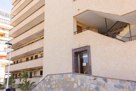 Apartament La Mata, Alicante, Hiszpania 2 sypialnie,  nr 138868 – zdjęcie 20