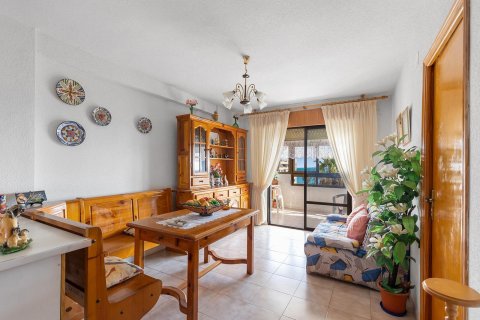 Apartament La Mata, Alicante, Hiszpania 2 sypialnie,  nr 138868 – zdjęcie 4