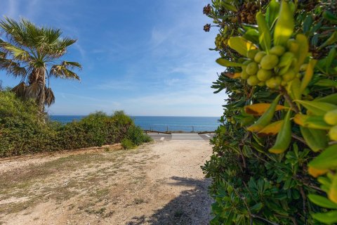 Apartament La Mata, Alicante, Hiszpania 2 sypialnie,  nr 138868 – zdjęcie 30