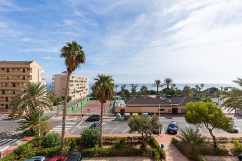 Apartament La Mata, Alicante, Hiszpania 2 sypialnie,  nr 138868 – zdjęcie 17