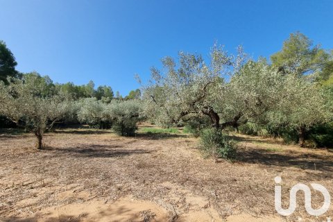 Продажа земельного участка в Тивисса, Таррагона, Испания 6327м2 №185767 - фото 8