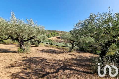 Продажа земельного участка в Тивисса, Таррагона, Испания 6327м2 №185767 - фото 10