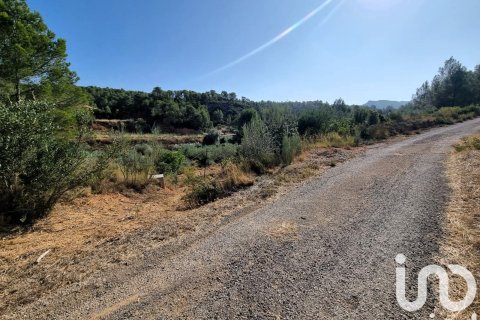 Продажа земельного участка в Тивисса, Таррагона, Испания 6327м2 №185767 - фото 15