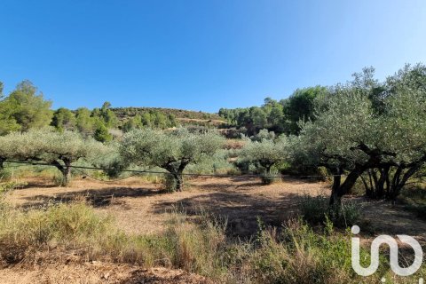 Terreno a Tivissa, Tarragona, Spagna 6327 mq. N° 185767